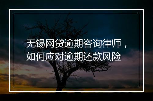无锡网贷逾期咨询律师，如何应对逾期还款风险