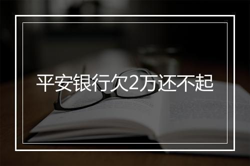 平安银行欠2万还不起