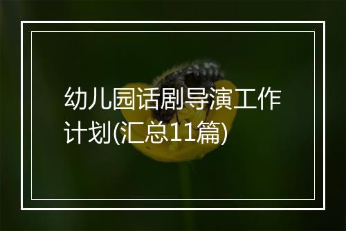 幼儿园话剧导演工作计划(汇总11篇)