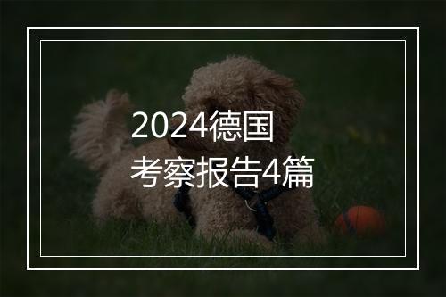 2024德国考察报告4篇