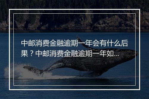 中邮消费金融逾期一年会有什么后果？中邮消费金融逾期一年如何处理？