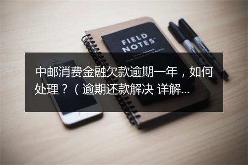 中邮消费金融欠款逾期一年，如何处理？（逾期还款解决 详解）