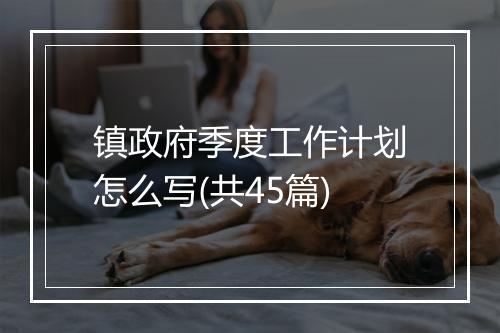 镇政府季度工作计划怎么写(共45篇)