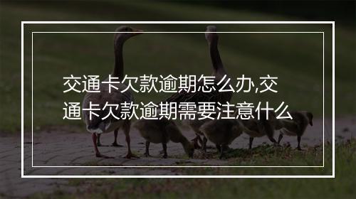 交通卡欠款逾期怎么办,交通卡欠款逾期需要注意什么