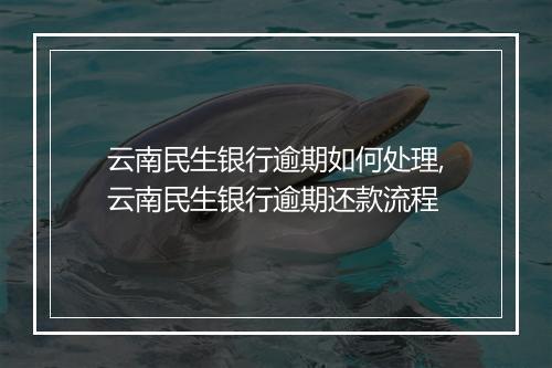 云南民生银行逾期如何处理,云南民生银行逾期还款流程
