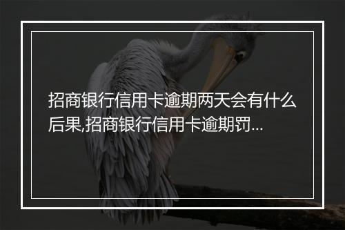招商银行信用卡逾期两天会有什么后果,招商银行信用卡逾期罚款标准
