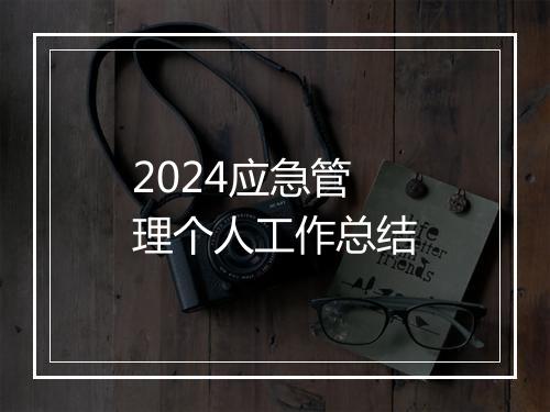2024应急管理个人工作总结