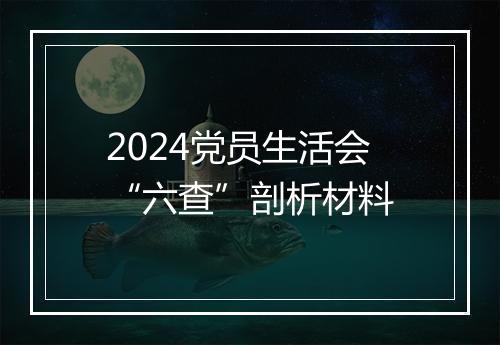 2024党员生活会“六查”剖析材料