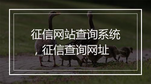征信网站查询系统，征信查询网址