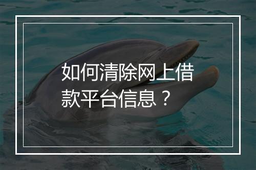 如何清除网上借款平台信息？