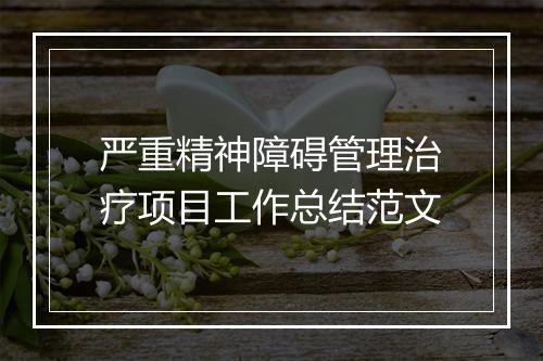 严重精神障碍管理治疗项目工作总结范文