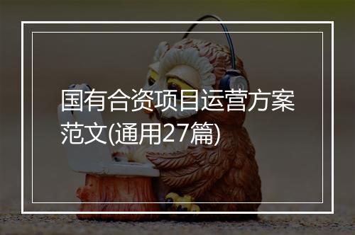 国有合资项目运营方案范文(通用27篇)