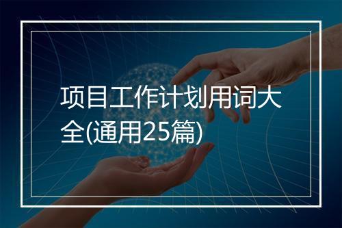 项目工作计划用词大全(通用25篇)
