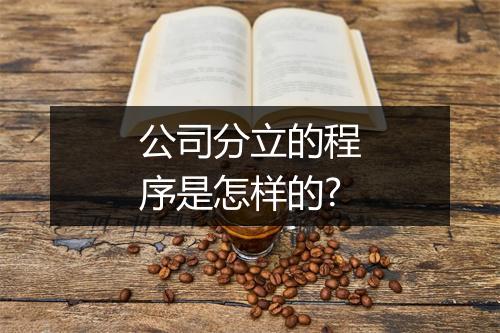 公司分立的程序是怎样的?