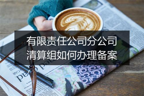 有限责任公司分公司清算组如何办理备案