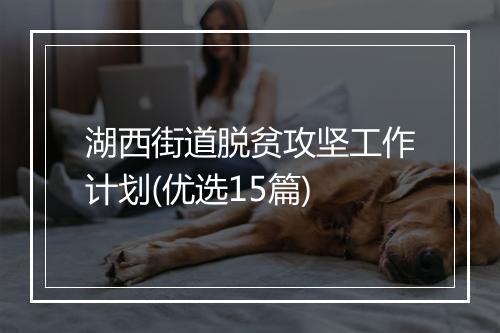 湖西街道脱贫攻坚工作计划(优选15篇)
