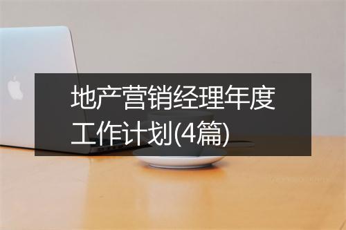 地产营销经理年度工作计划(4篇)