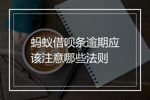 蚂蚁借呗条逾期应该注意哪些法则