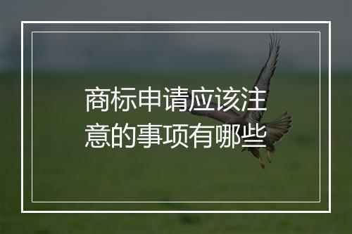 商标申请应该注意的事项有哪些