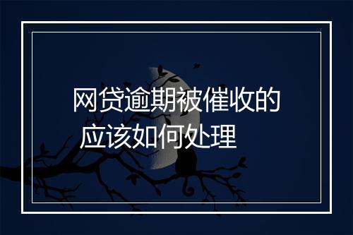 网贷逾期被催收的 应该如何处理