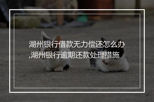 湖州银行借款无力偿还怎么办,湖州银行逾期还款处理措施