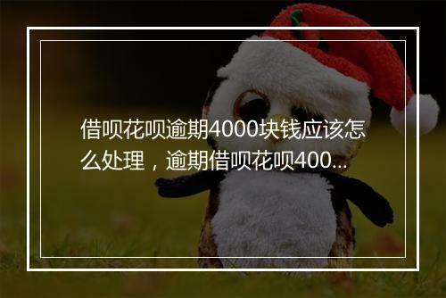 借呗花呗逾期4000块钱应该怎么处理，逾期借呗花呗4000块钱后果严重吗