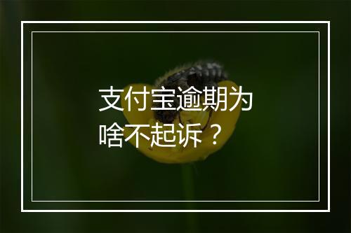 支付宝逾期为啥不起诉？