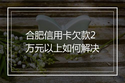 合肥信用卡欠款2万元以上如何解决