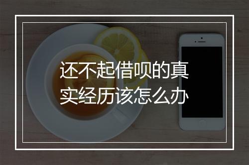 还不起借呗的真实经历该怎么办