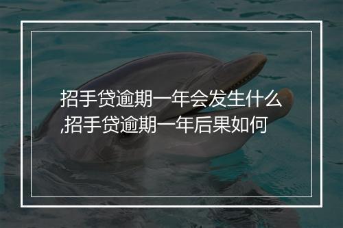 招手贷逾期一年会发生什么,招手贷逾期一年后果如何