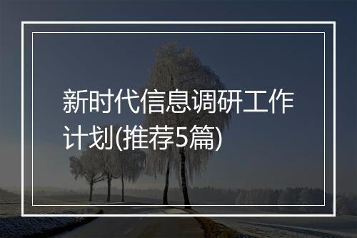 新时代信息调研工作计划(推荐5篇)