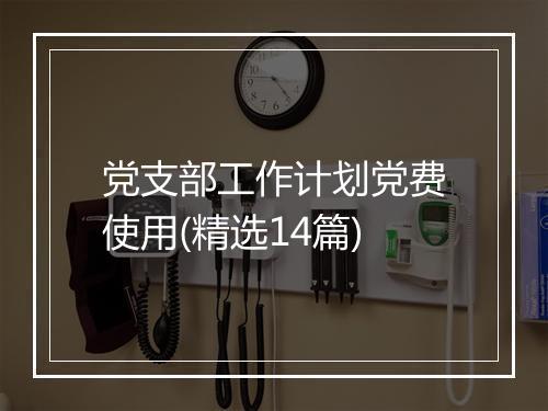党支部工作计划党费使用(精选14篇)