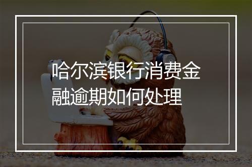 哈尔滨银行消费金融逾期如何处理
