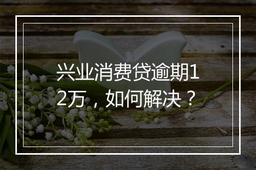 兴业消费贷逾期12万，如何解决？