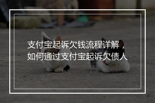 支付宝起诉欠钱流程详解，如何通过支付宝起诉欠债人