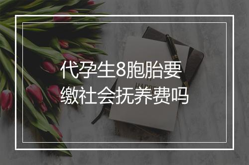 代孕生8胞胎要缴社会抚养费吗