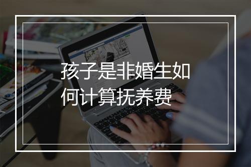 孩子是非婚生如何计算抚养费