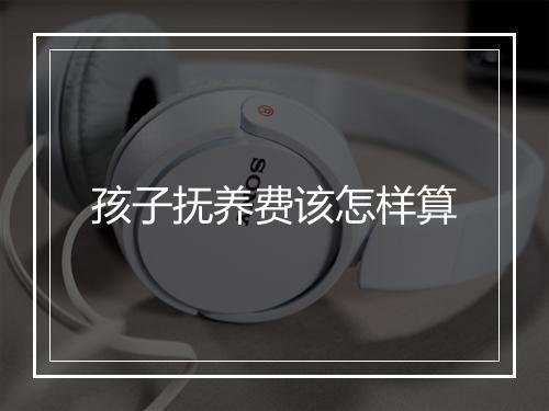孩子抚养费该怎样算