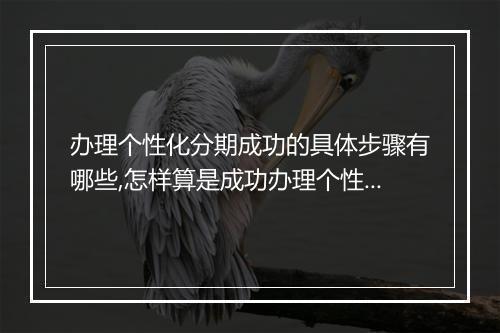 办理个性化分期成功的具体步骤有哪些,怎样算是成功办理个性化分期