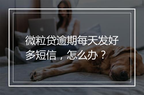 微粒贷逾期每天发好多短信，怎么办？