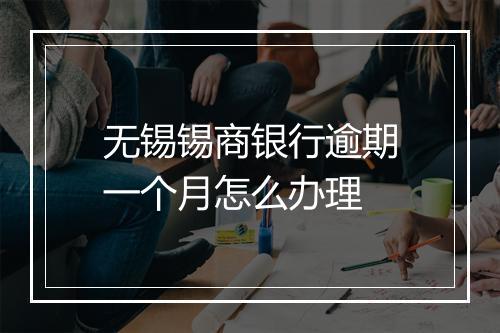 无锡锡商银行逾期一个月怎么办理