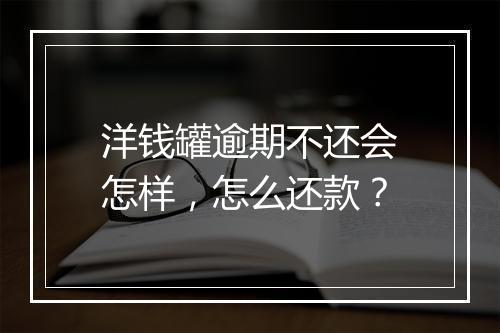 洋钱罐逾期不还会怎样，怎么还款？