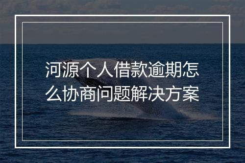 河源个人借款逾期怎么协商问题解决方案