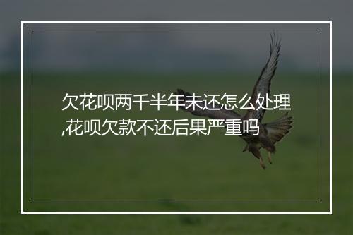 欠花呗两千半年未还怎么处理,花呗欠款不还后果严重吗