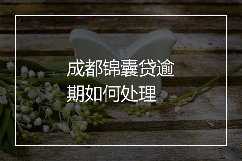 成都锦囊贷逾期如何处理