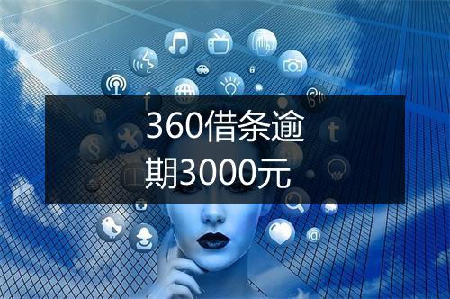 360借条逾期3000元