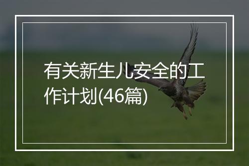 有关新生儿安全的工作计划(46篇)