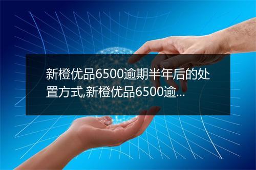 新橙优品6500逾期半年后的处置方式,新橙优品6500逾期半年如何处理