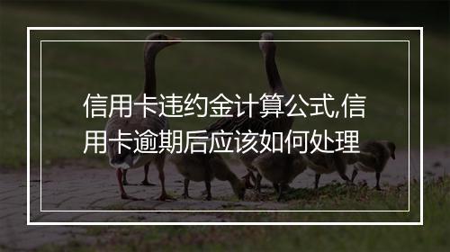 信用卡违约金计算公式,信用卡逾期后应该如何处理