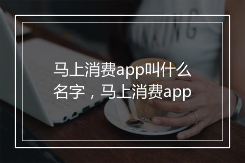 马上消费app叫什么名字，马上消费app